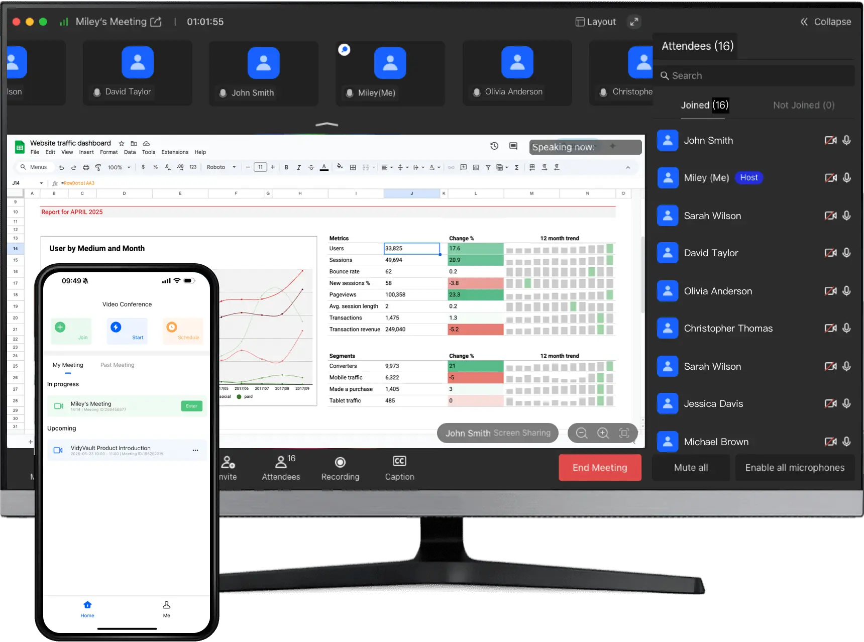 VidyVault meeting interface showing participants and shared spreadsheet